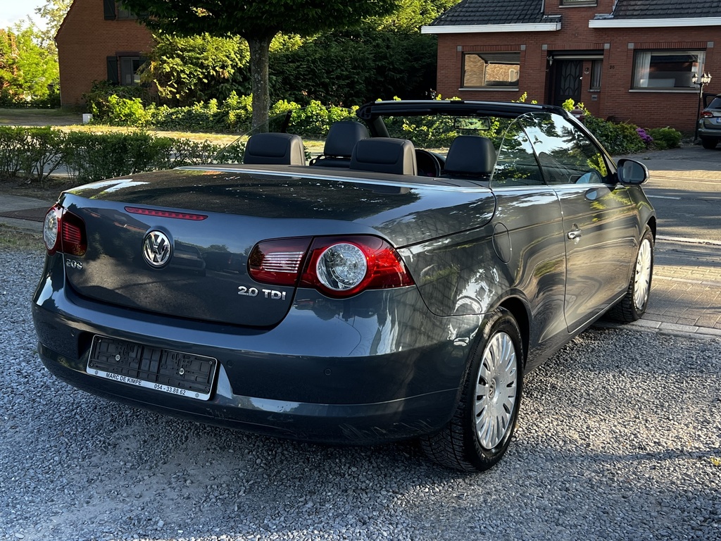Hexon import image 4